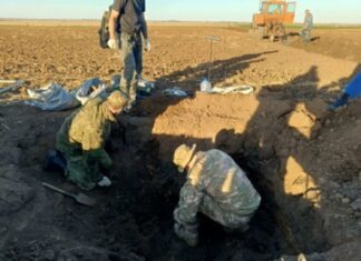 В Волгоградской области поисковики нашли останки 21 защитника Сталинграда