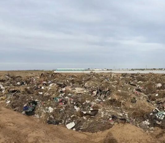 В Волгоградской области 1,2 млн руб пополнили бюджет за счёт штрафов эконарушителей