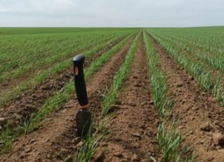 посевная поля