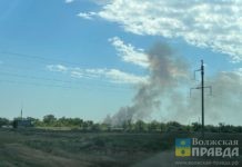 В Волгоградской области после атаки БПЛА загорелся лес
