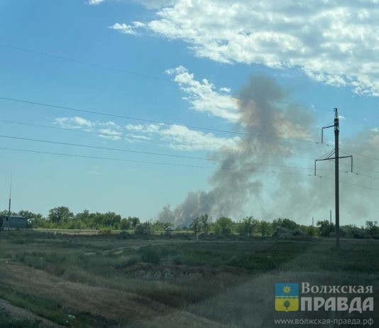 В Волгоградской области после атаки БПЛА загорелся лес