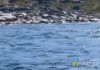 В Волгограде родственники погибших в Белом море хотят возобновления уголовного дела