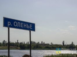 В Волгоградской области тело пропавшего рыбака нашли на другом берегу Волги