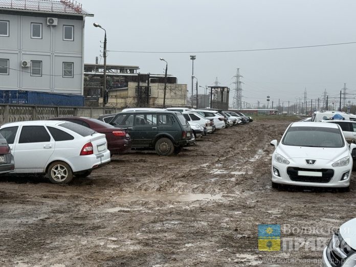 рнк-грязь -ио111