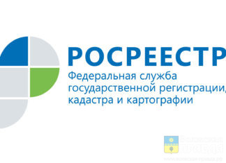 В Волгоградской области растет востребованность электронных сервисов Росреестра