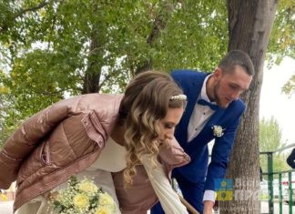 У волжского ЗАГСа №2 в День единых действий молодожёны высадили розы