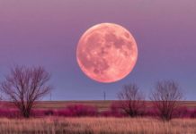 2 апреля жители Волжского увидят розовое полнолуние