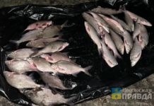 Подлещик и язь: два волгоградца заплатят штраф за ловлю плавными сетями