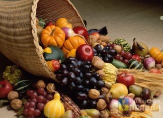 Волжане покажут на Дне садовода свои урожайные достижения хороший урожай на даче