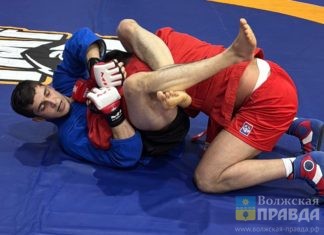 Спортсмены из волжской «Спарты» привезли 13 медалей с чемпионата и первенства федерации самбо России