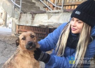 Волжане говорили о капремонте, пьяных прихожанах и высохшем русле