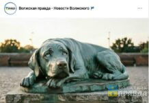 «Вот бы мэр поддержал»: идея памятника погибшей собаке получила мощный отклик волжан