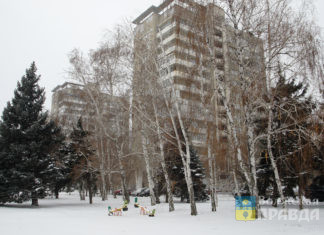 Путин утвердил дополнительную соцподдержку в Волгоградской области