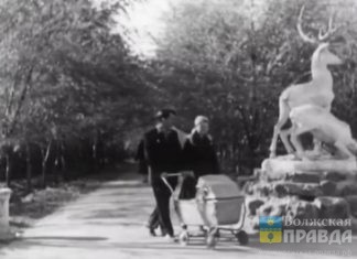 В «старом» парке Волжского ждут возвращения исторического оленя