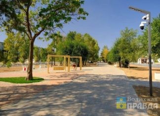 Волжане говорят: о петербургских фонарях, деловых маркетологах и хитрой вороне