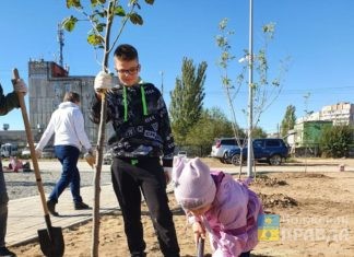 Волжане говорили о теплых красках лета, космовысадке и затопленном подвале