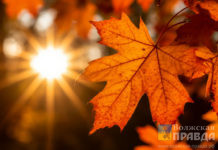 Волжский накрыла 4-я магнитная буря за октябрь