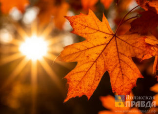 Волгоград и Волжский накрыла мощная геомагнитная буря