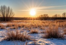 В Волжском прошла первая в году магнитная буря