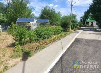 Проект Волжского получил приз международного конкурса «Зеленая Евразия»