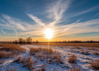 Солнце удивило волжан спонтанными вспышками и магнитными бурями