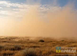 Волгоградскую область накроет мощная пыльная буря