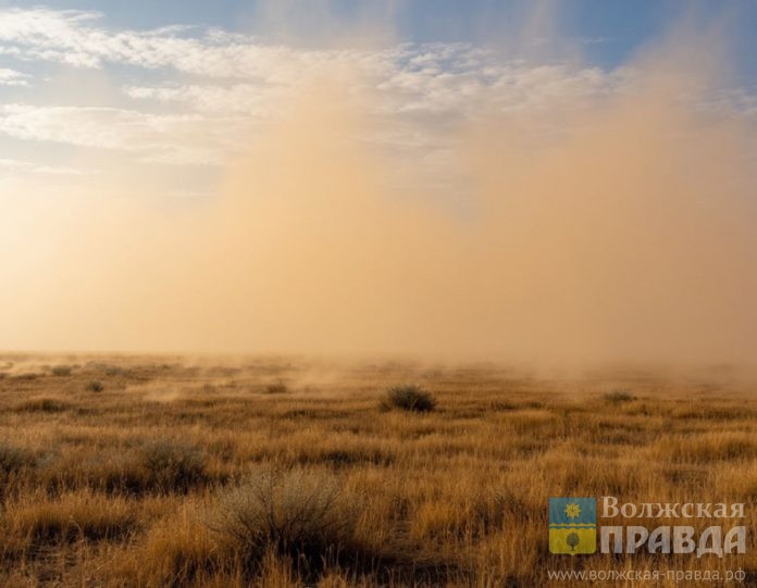 степь-буря-пыль-шедеврум