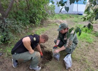 На юге Волгограда оценили загрязнение почвы в 2 795 208 рублей