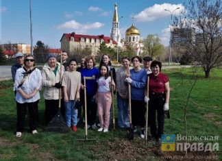 Молодёжь и ветераны вышли на субботник в парке Волжский