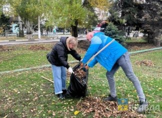 240 мешков опавших листьев: волжские коммунальщики провели субботник на проспекте Ленина