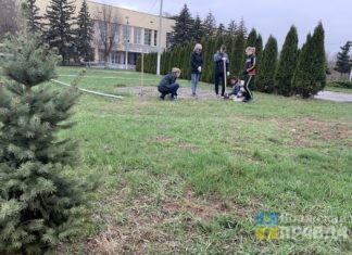 Перед Дворцом творчества «Русинка» юные ботаники хотят высадить грантовую клумбу