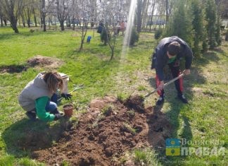 В месячнике по благоустройству в Волжском приняли участие уже 365 организаций