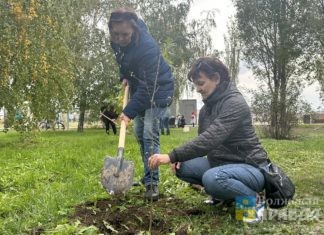 115 организаций Волжского заявили об участии в месячнике по благоустройству города
