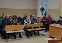 Линия защиты — умысла не имел: в Волжском стартовал судебный процесс по убийству собаки Лесси