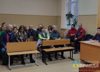 Линия защиты — умысла не имел: в Волжском стартовал судебный процесс по убийству собаки Лесси