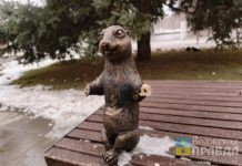 На суслика, читающего «Волжскую правду», напали вандалы