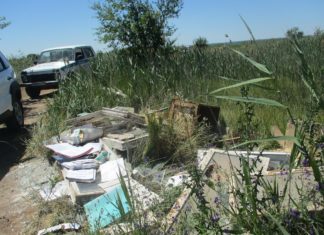 В Волжском нарушителя благоустройства обязали убрать устроенную им свалку
