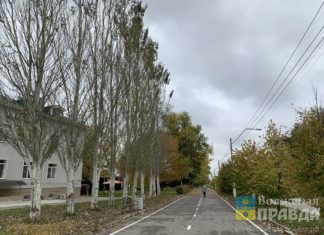 Что думают волжские экологи о замене растительного фонда