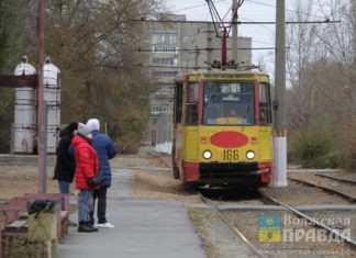 Повода для возбуждения дела нет: мэрия Волжского ответила на «трамвайный вопрос»