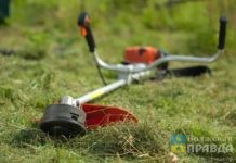 В Волжском траву скосили на площади 386 га