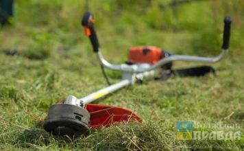 В Волжском траву скосили на площади 386 га