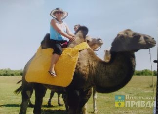 Городской туристический фотоконкурс: волжанка побывала на кактусовой поляне и покорила Богдо