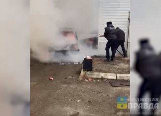 Волжские инспекторы помогли тушить машину