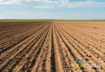 28 участков на 6 улицах: в Волжском нарезали бесплатную землю под индивидуальную жилую застройку