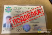 Рядом с Волгоградом снова задержали мигранта с поддельным водительским удостоверением