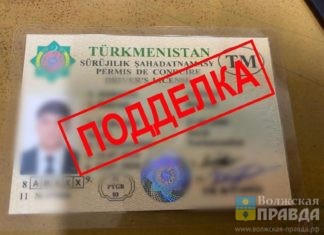 Рядом с Волгоградом снова задержали мигранта с поддельным водительским удостоверением