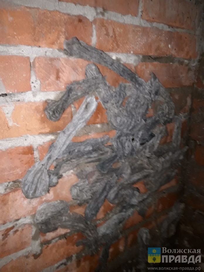 ул. Пионерская, 24