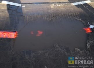 Волжане говорили о затопленных переходах, трудностях льготных рецептов и «собачьем» вопросе