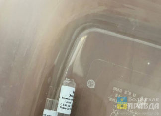 В Волгоградской области задержали медиков, торговавших поддельными сертификатами