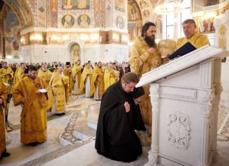Волгоградский защитник птиц иеромонах Василиск вернулся из раскола в РПЦ